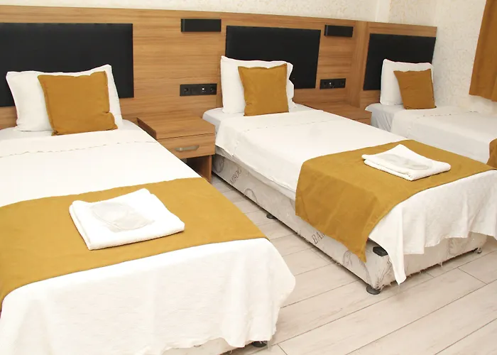 Отель Ersoy Ikiz