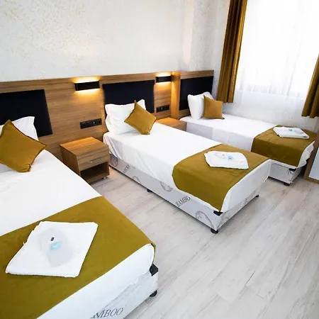 Ersoy Ikiz Hotel *