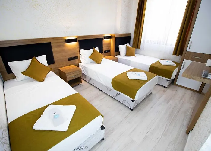 Ersoy Ikiz Hotel *